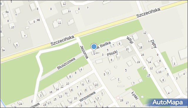 Morzyczyn, Pliszki, 1, mapa Morzyczyn