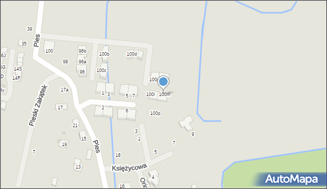 Niepołomice, Ples, 100m, mapa Niepołomice