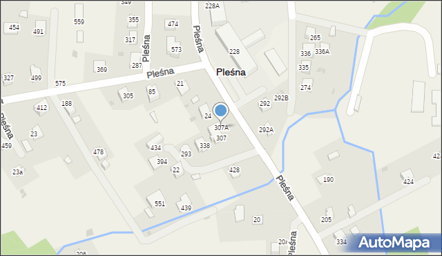 Pleśna, Pleśna, 307A, mapa Pleśna