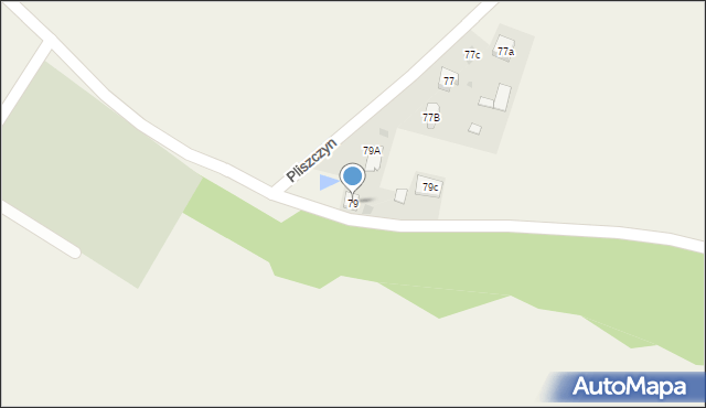 Pliszczyn, Pliszczyn, 79, mapa Pliszczyn