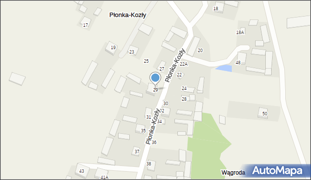 Płonka-Kozły, Płonka-Kozły, 29, mapa Płonka-Kozły