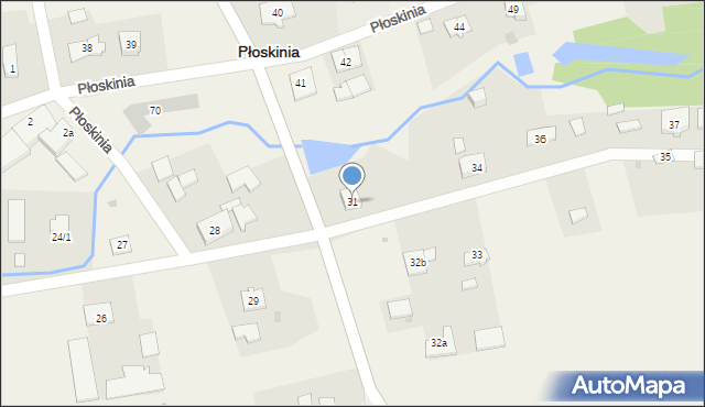 Płoskinia, Płoskinia, 31, mapa Płoskinia