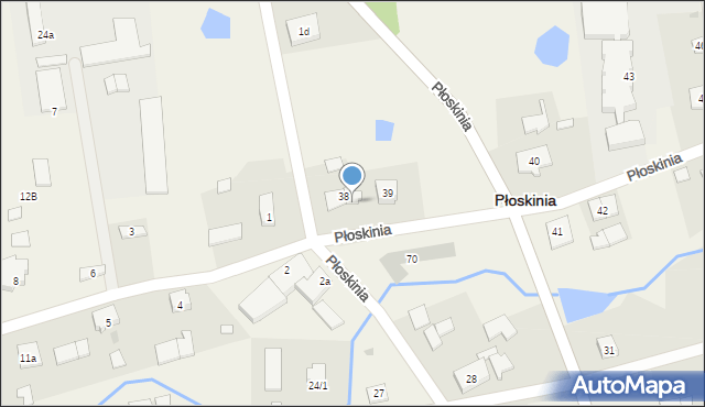 Płoskinia, Płoskinia, 38B, mapa Płoskinia