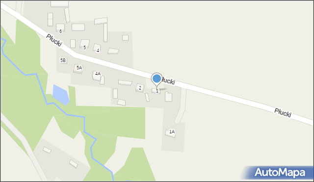 Płucki, Płucki, 1, mapa Płucki