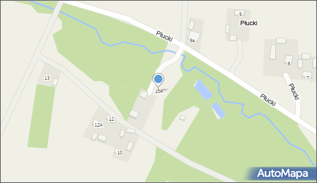 Płucki, Płucki, 10A, mapa Płucki