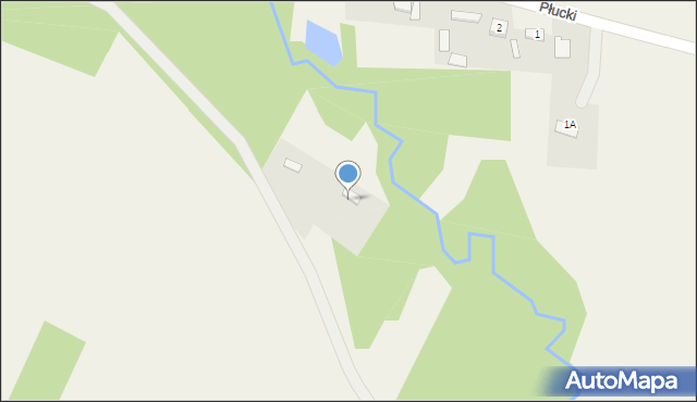 Płucki, Płucki, 3a, mapa Płucki