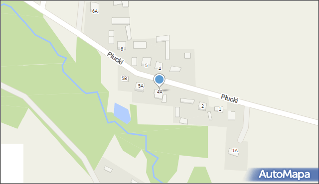 Płucki, Płucki, 4A, mapa Płucki