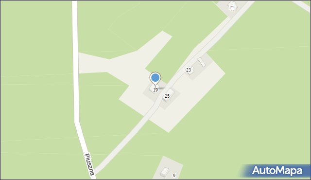 Pluski, Pluszna, 19, mapa Pluski
