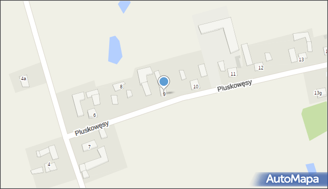 Pluskowęsy, Pluskowęsy, 9, mapa Pluskowęsy