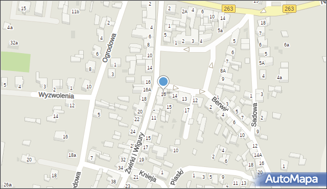 Ślesin, Plac Wolności, 16, mapa Ślesin