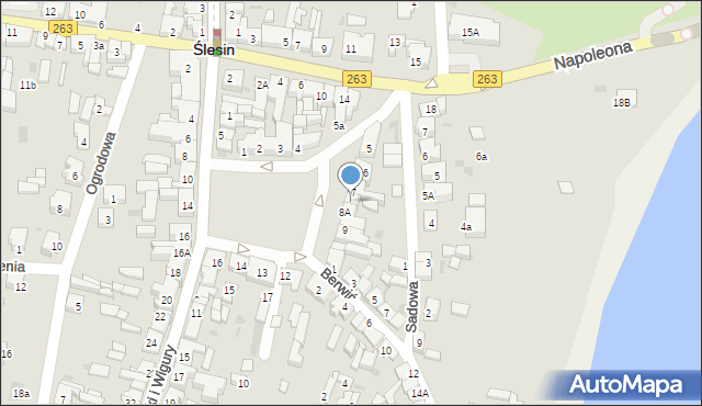 Ślesin, Plac Wolności, 8, mapa Ślesin