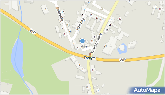 Torzym, Plac Kościuszki Tadeusza, gen., 7, mapa Torzym