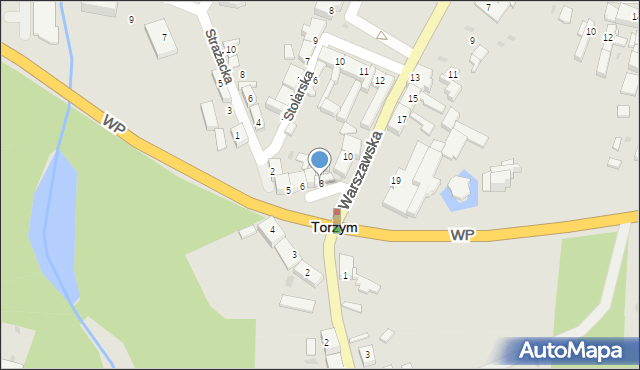 Torzym, Plac Kościuszki Tadeusza, gen., 8, mapa Torzym