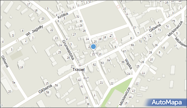 Trzciel, Plac Zjednoczenia Narodowego, 21, mapa Trzciel