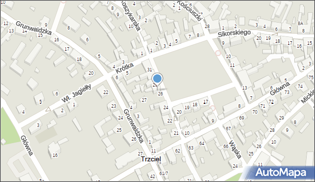 Trzciel, Plac Zjednoczenia Narodowego, 28, mapa Trzciel