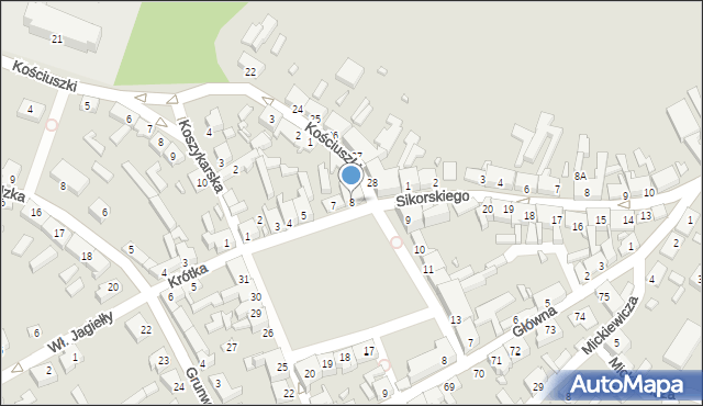 Trzciel, Plac Zjednoczenia Narodowego, 8, mapa Trzciel