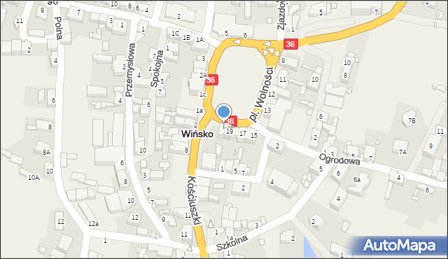 Wińsko, Plac Wolności, 20, mapa Wińsko