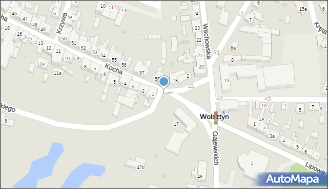 Wolsztyn, Plac Kościuszki Tadeusza, gen., 1, mapa Wolsztyn