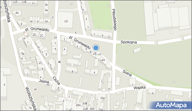 Wschowa, Plac Grunwaldu, 12, mapa Wschowa