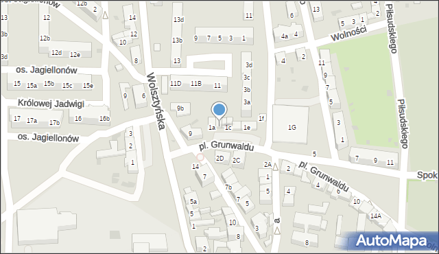 Wschowa, Plac Grunwaldu, 1b, mapa Wschowa