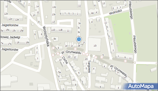 Wschowa, Plac Grunwaldu, 1e, mapa Wschowa