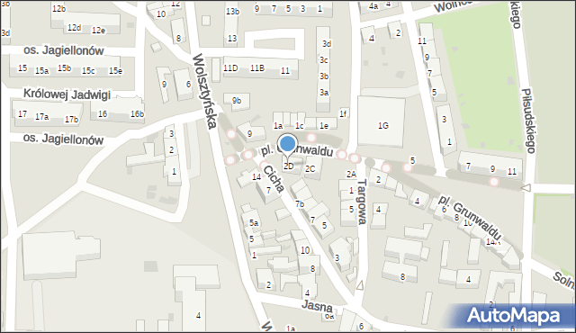 Wschowa, Plac Grunwaldu, 2D, mapa Wschowa