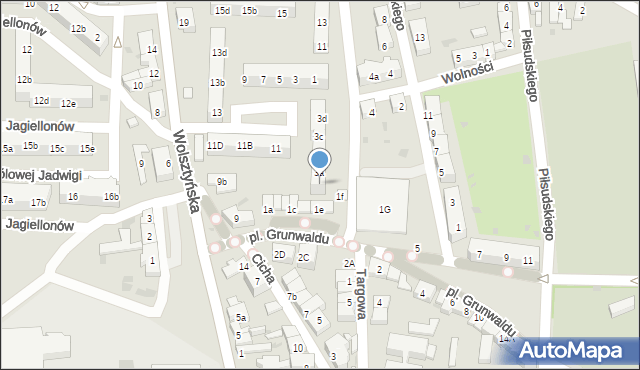 Wschowa, Plac Grunwaldu, 3, mapa Wschowa