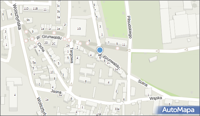 Wschowa, Plac Grunwaldu, 6, mapa Wschowa
