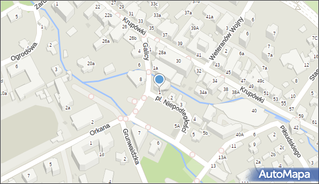 Zakopane, Plac Niepodległości, 1, mapa Zakopanego