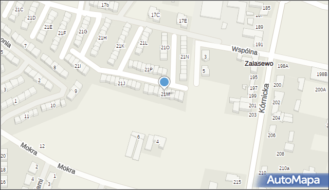 Zalasewo, Planetarna, 21M, mapa Zalasewo