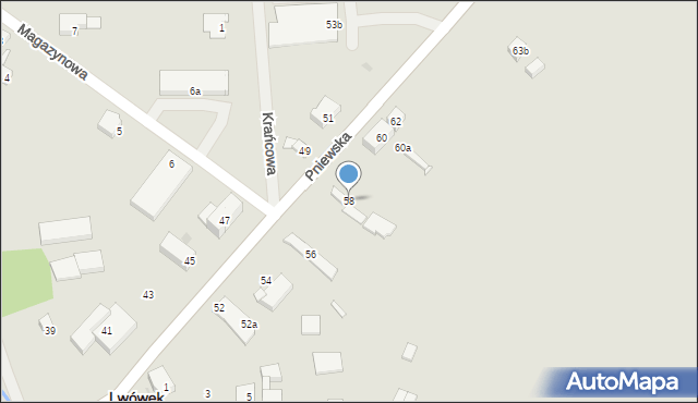 Lwówek, Pniewska, 58, mapa Lwówek