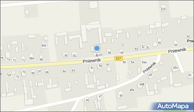 Pniewnik, Pniewnik, 60, mapa Pniewnik
