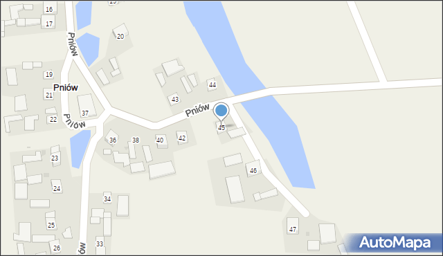 Pniów, Pniów, 45, mapa Pniów