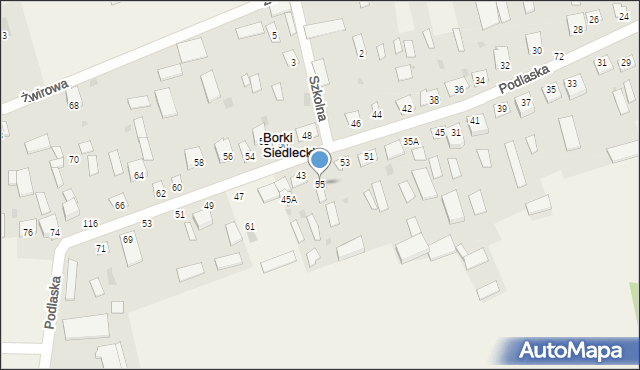 Borki Siedleckie, Podlaska, 55, mapa Borki Siedleckie