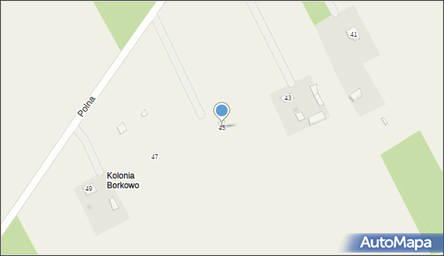 Borkowo, Polna, 45, mapa Borkowo