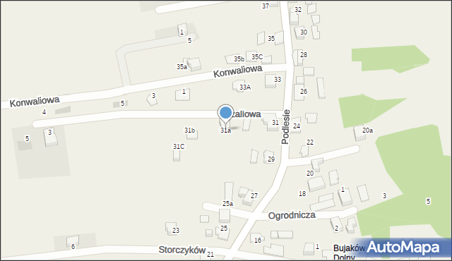 Bujaków, Podlesie, 31a, mapa Bujaków
