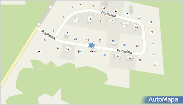 Czapielsk, Podleśna, 37, mapa Czapielsk