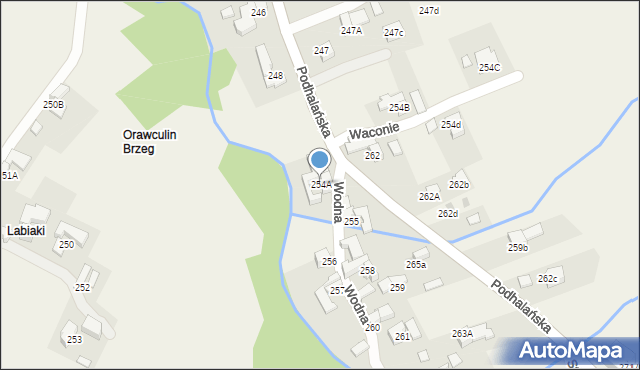 Dzianisz, Podhalańska, 229, mapa Dzianisz