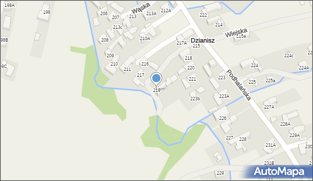 Dzianisz, Podhalańska, 299, mapa Dzianisz