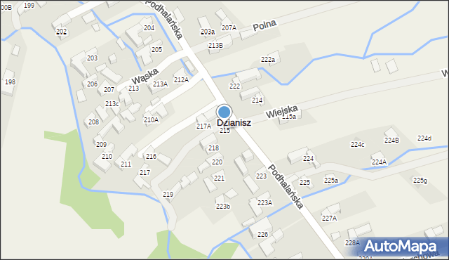 Dzianisz, Podhalańska, 305, mapa Dzianisz