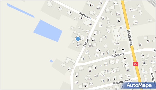 Dziemionna, Polna, 43, mapa Dziemionna