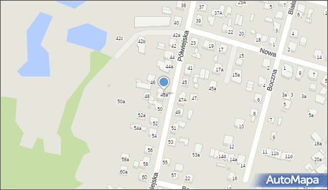 Gniezno, Półwiejska, 48a, mapa Gniezna