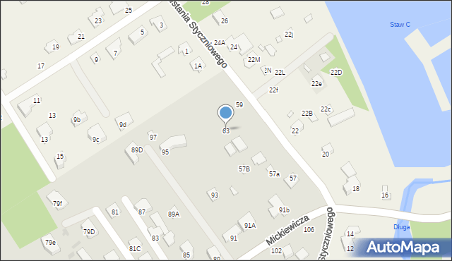 Halinów, Powstania Styczniowego, 63, mapa Halinów