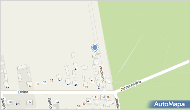 Janiszew, Podleśna, 3, mapa Janiszew
