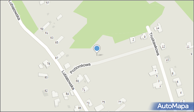Koszalin, Poziomkowa, 8, mapa Koszalina