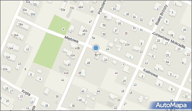 Kwirynów, Pohulanka, 50, mapa Kwirynów