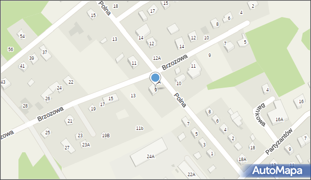 Leoncin, Polna, 9, mapa Leoncin