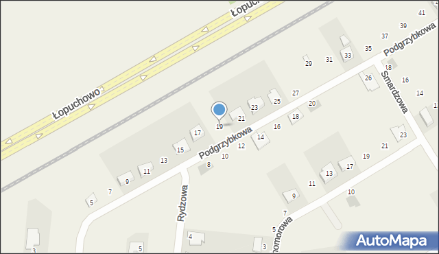 Łopuchowo, Podgrzybkowa, 19, mapa Łopuchowo