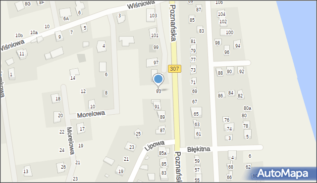 Niepruszewo, Poznańska, 93, mapa Niepruszewo
