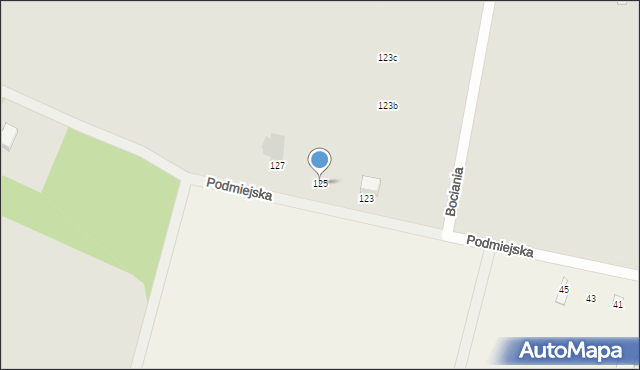 Pabianice, Podmiejska, 125, mapa Pabianic